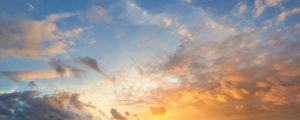 banner_2