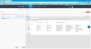 Concur Web Version pic 2